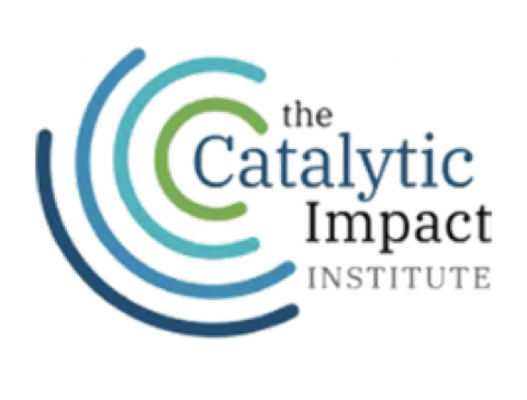 The Catalytic Impact Institute