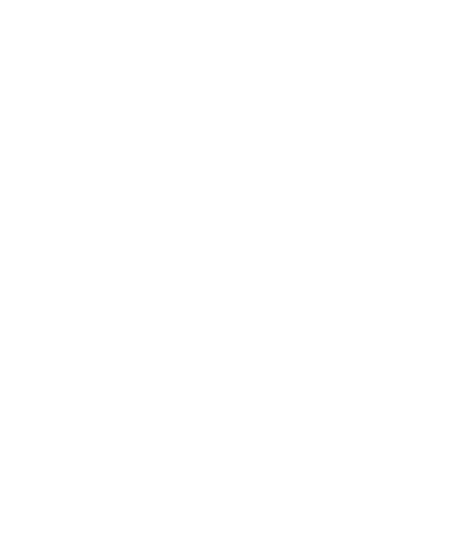 Certified Social Enterprise by Social Traders