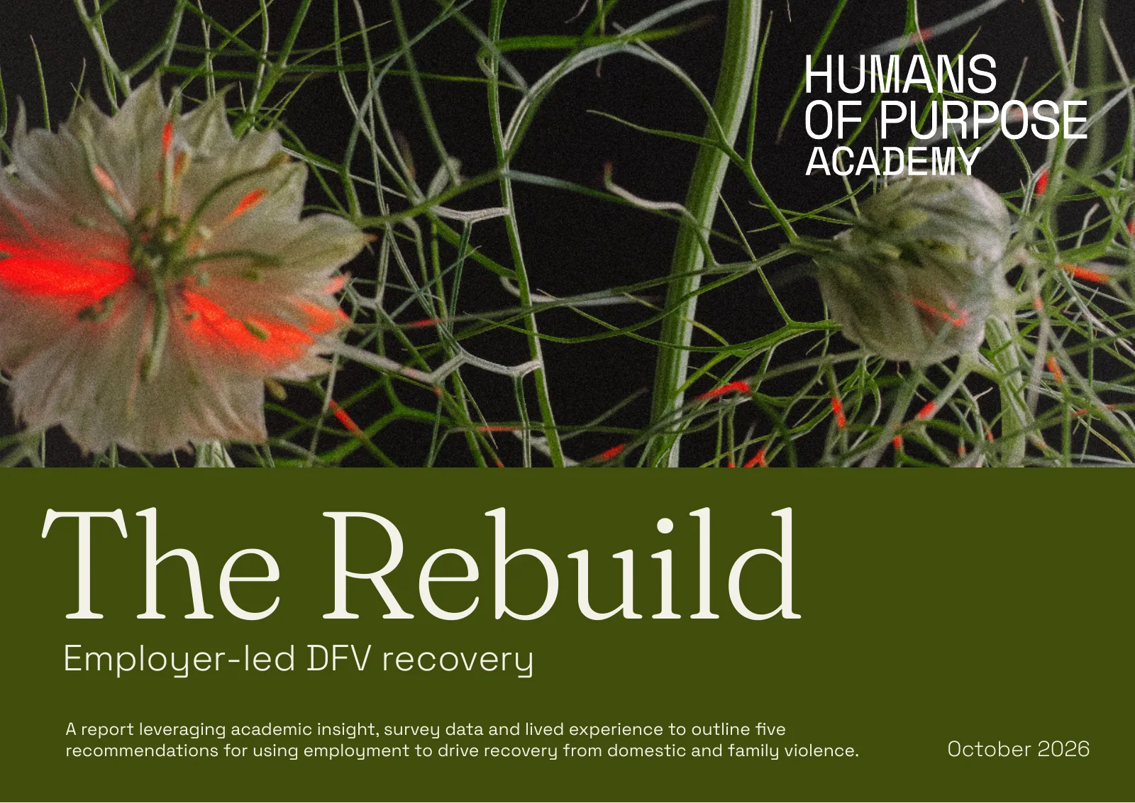 Cover of The Rebuild: Employer-led DFV recovery, a Humans of Purpose Academy report