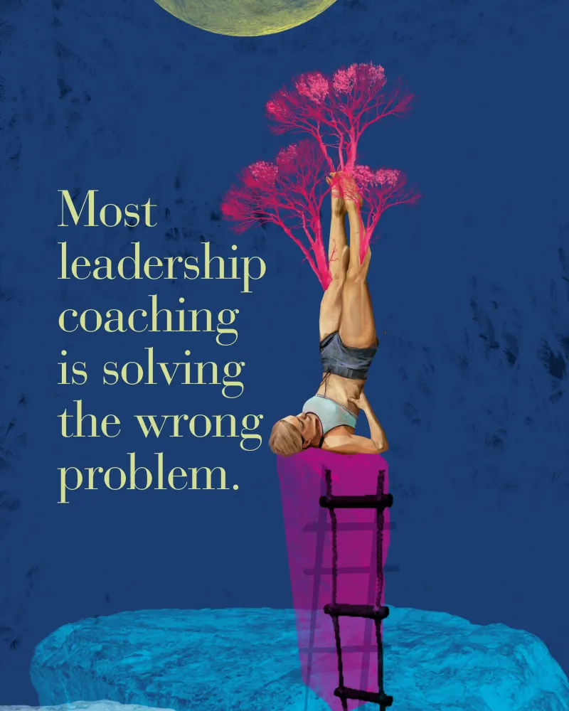 Editorial poster: leadership coaching